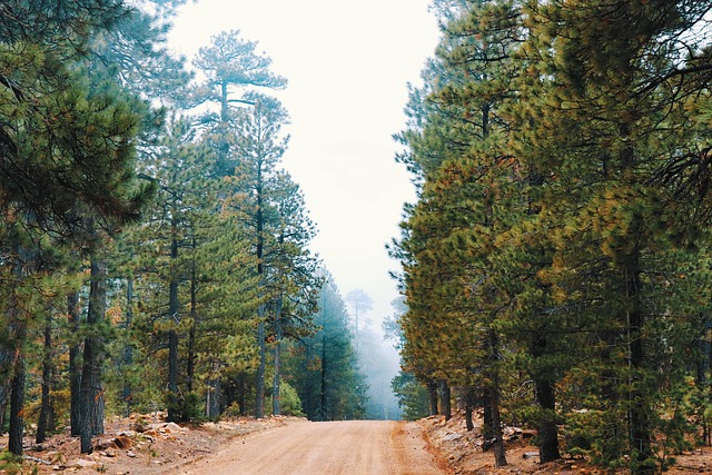 Interpretación del sueño de perderse: encrucijada de dirección y elección 관련 이미지 5