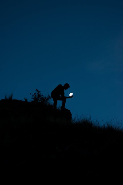 똥 꿈 대박 징조?: 재물운 높이는 꿈 해몽 핵심 관련 이미지 3