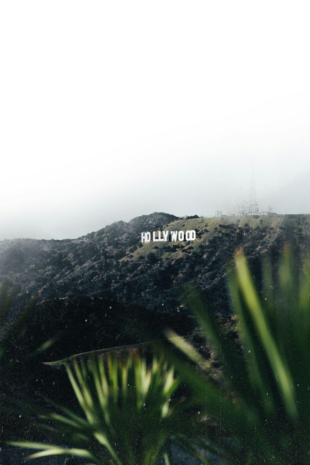 Interpretación de sueños sobre volverse famoso 관련 이미지 4