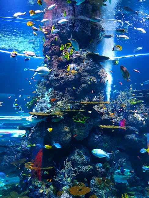 Interpretación de sueños de pez, dragón y tortuga: significado de los sueños auspiciosos tradicionales 관련 이미지 3