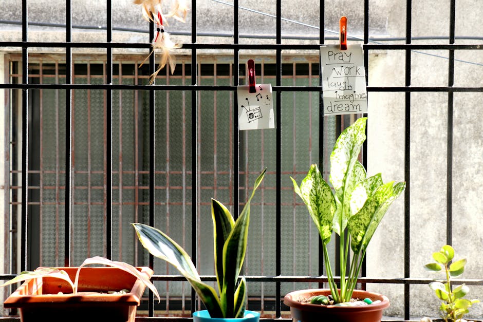 Interpretación de sueños con serpientes: ¿símbolo de traición, seducción o suerte? 관련 이미지 5