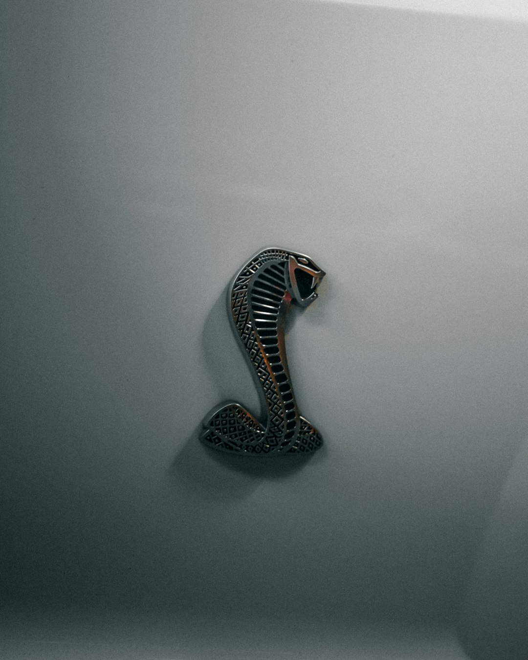 ¿Un sueño en el que uno se convierte en serpiente? 관련 이미지 3