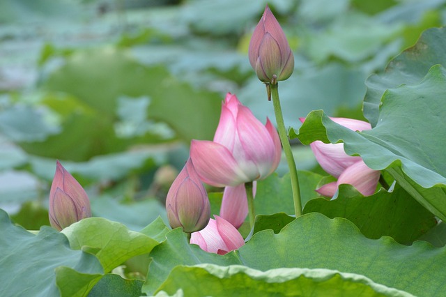 El sueño de ser perseguido por un ex amante, ¿significa un sueño de lamentos y restos de emociones? 관련 이미지 2