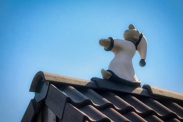 Drömtydning om att huden blir spänstig: bildförbättring·självledarskapsvilja 관련 이미지 6