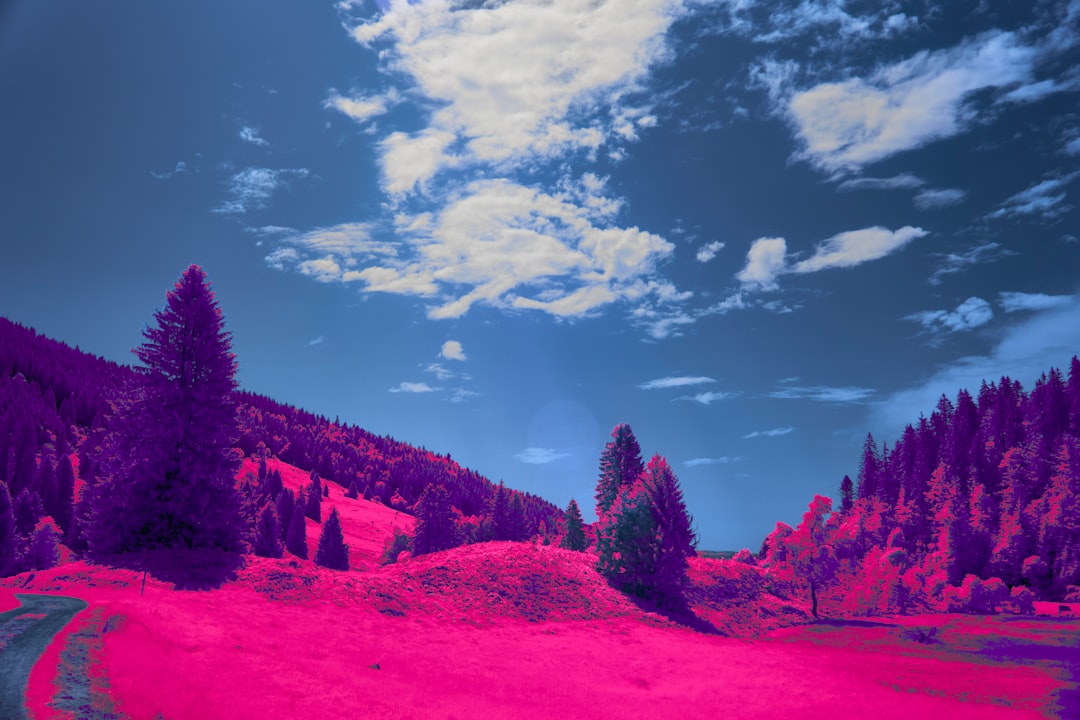 Interpretación de sueños de género fluctuante: sobrecarga de múltiples roles y flexibilidad 관련 이미지 2